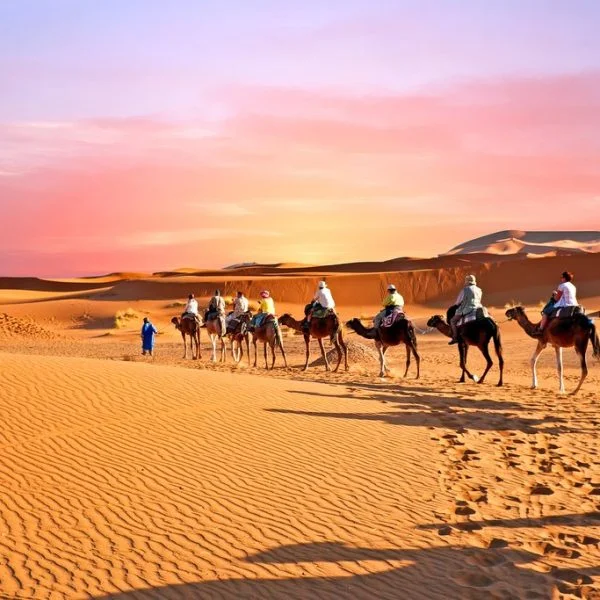 Carovana di cammelli che attraversa le dune di sabbia nel deserto del Sahara, Marocco al tramonto