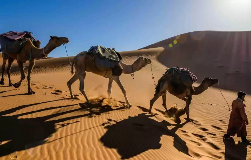 Tour di 3 giorni da Marrakech al deserto di Fes