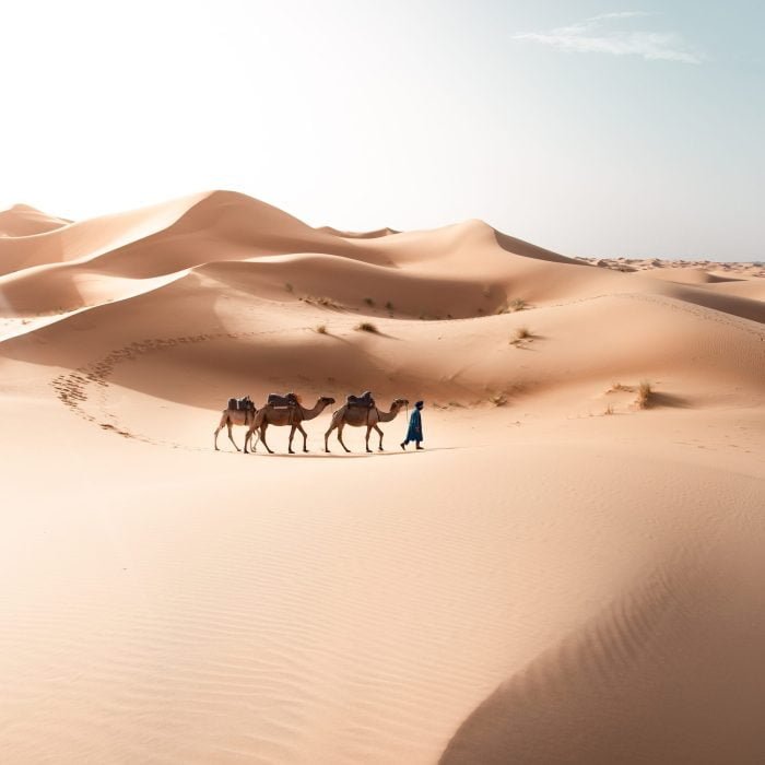 tour nel deserto del marocco
