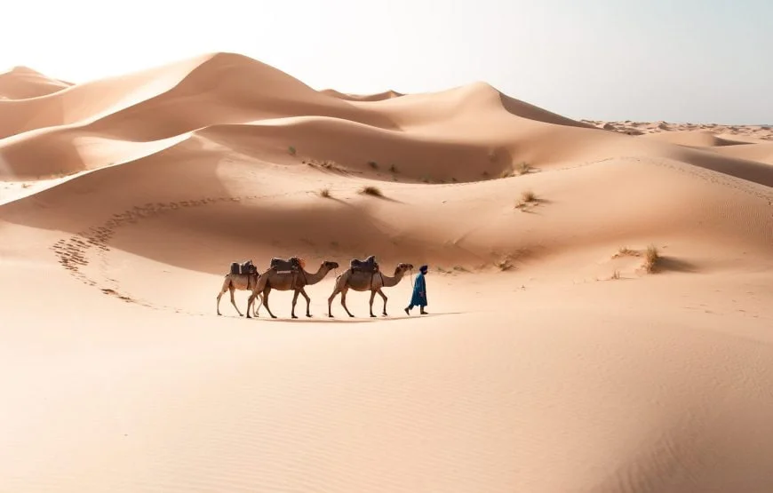 Tour nel deserto di 4 giorni da Fes a Marrakech