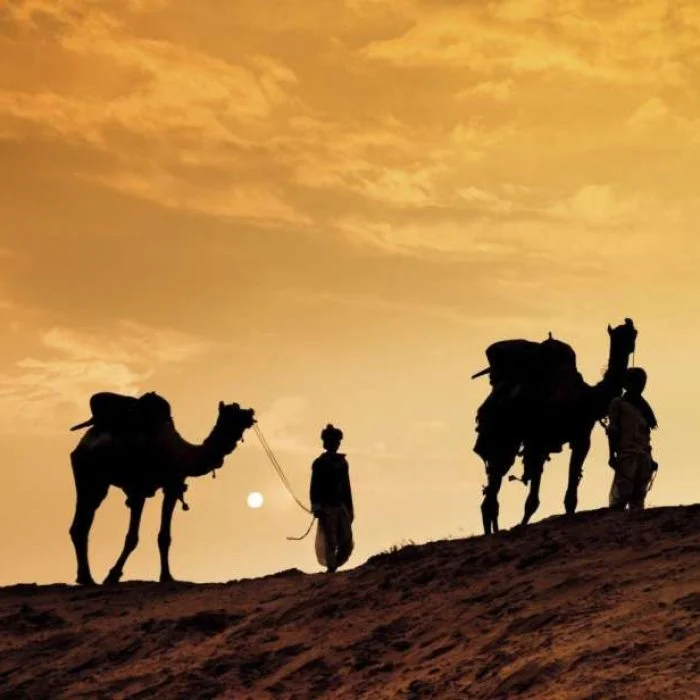 viaggio in cammello in marocco
