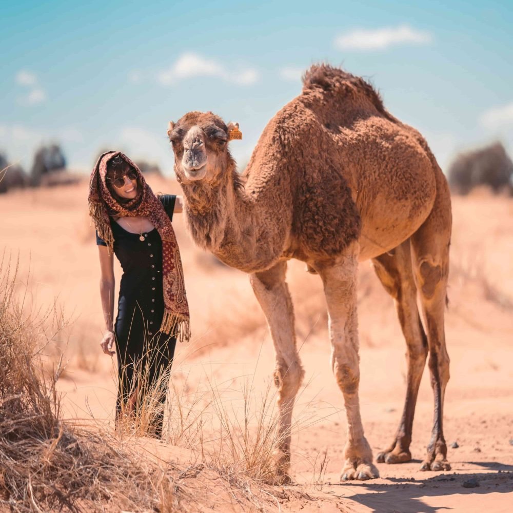 tour di lusso nel deserto del marocco