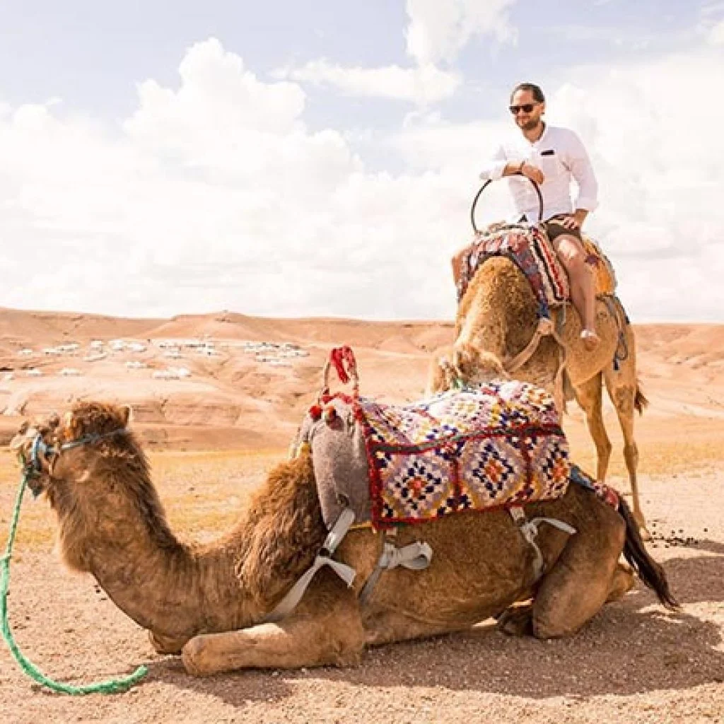marrakech sunset camel ride