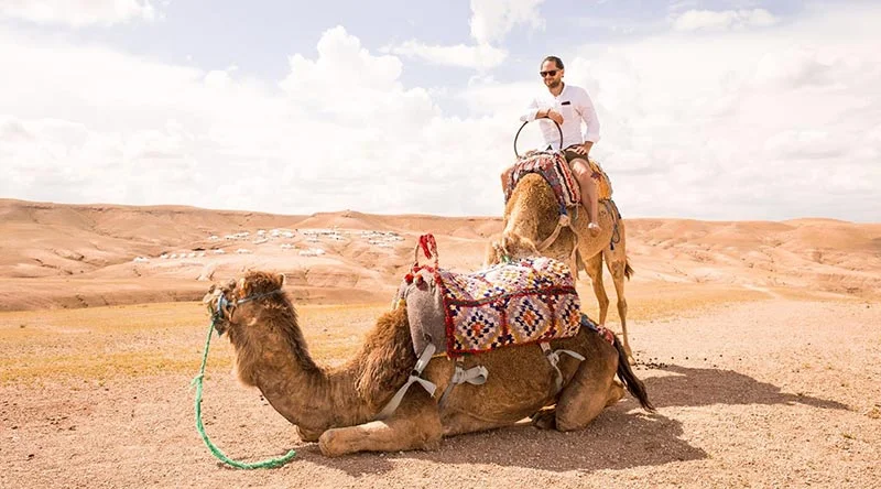 Programma giornaliero Gita di un giorno nel deserto di Agafay da Marrakech: