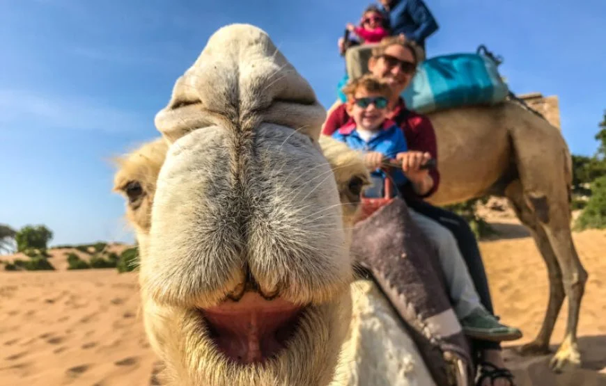 Tour de lujo de 15 días por el desierto a Marrakech, Essaouira y Erg Chigaga desde Marrakech