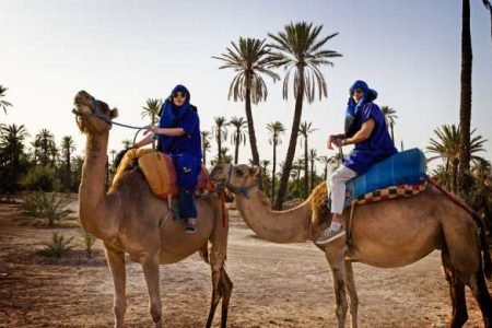 Giro in quad e cammello a Marrakech