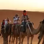 desert of morocco