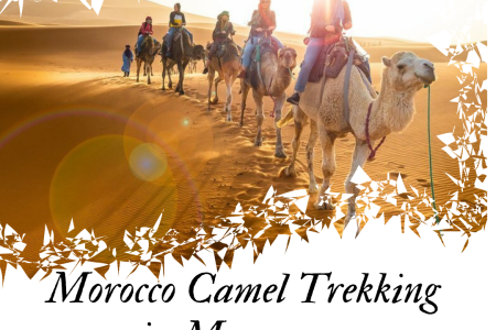 Randonnée chamelière au Maroc à Merzouga